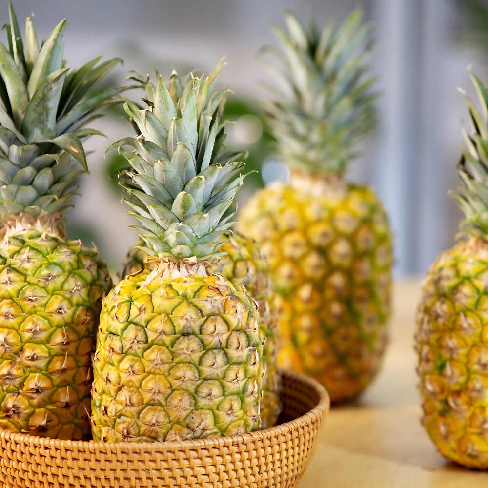 고당도 골드 파인애플 소과